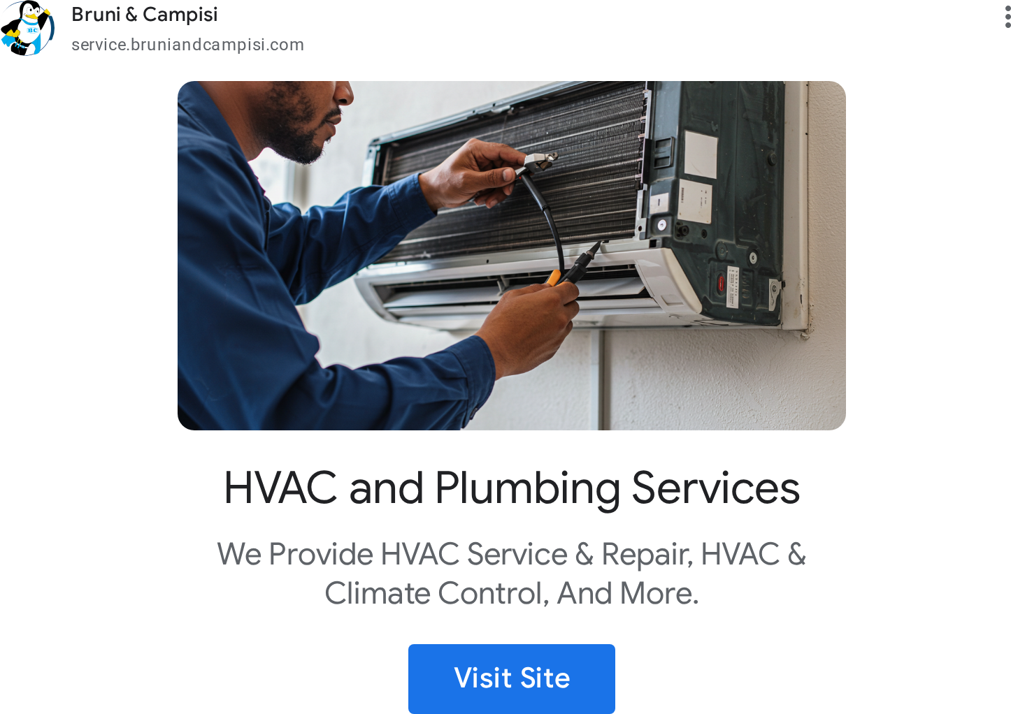 Ads evidence from Bruni & Campisi, Inc.